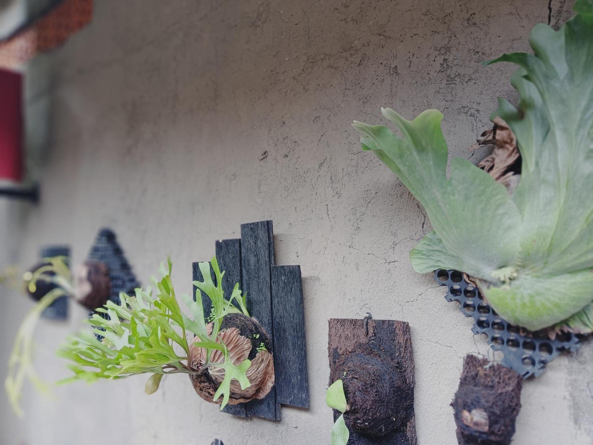 Sudana Homestay Ubud Exterior foto